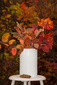 Concursul de arta fotografica si desene ”Toamna in chișinău”