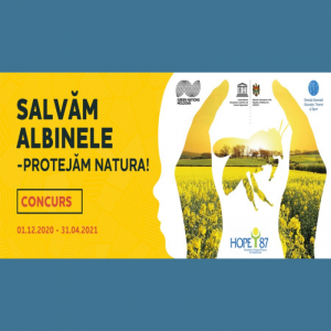 PROIECTUL EDUCAȚIONAL „Salvăm albinele – protejăm natura!”